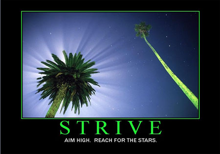 Strive Motivation9